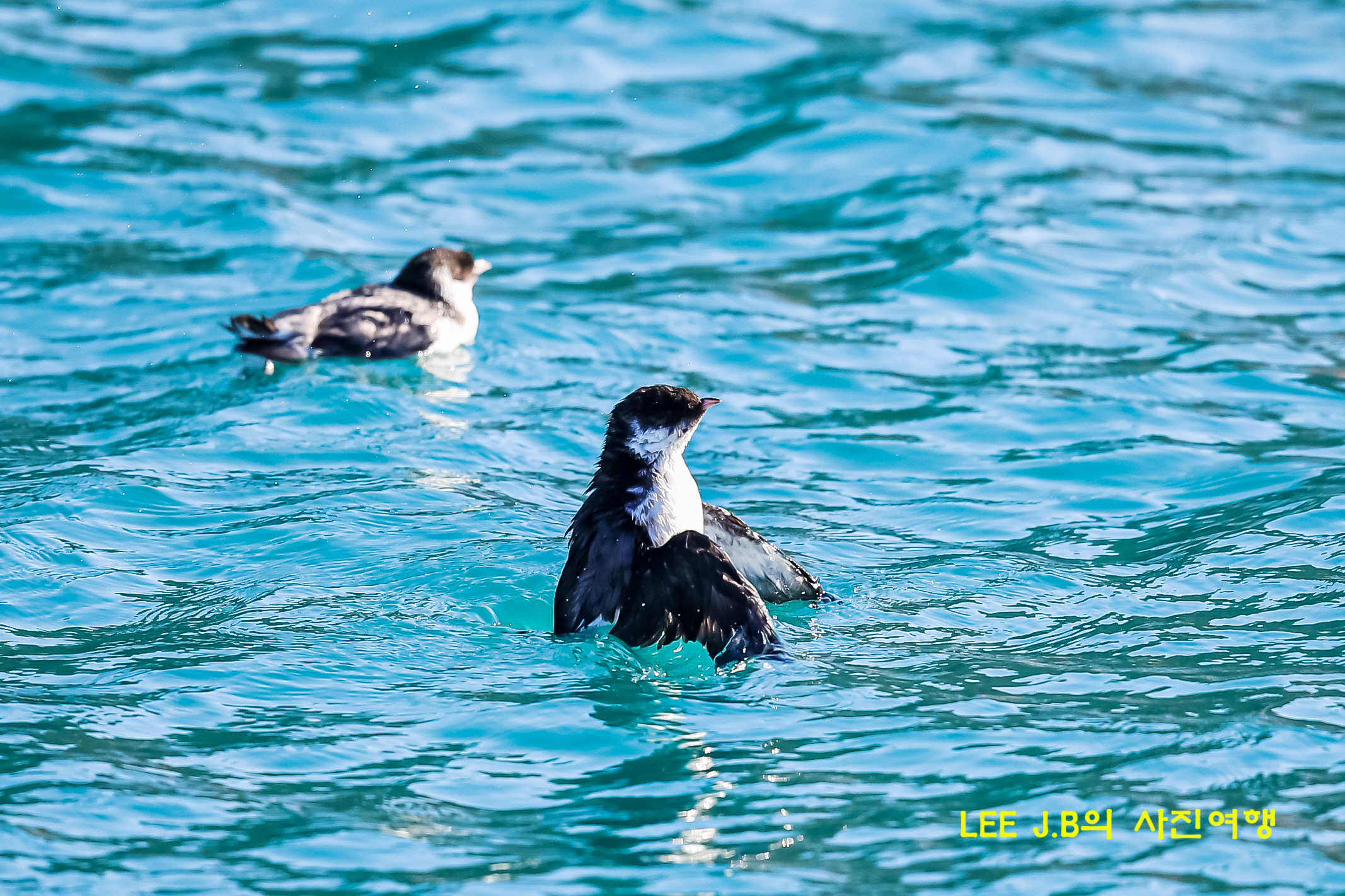 20221227-포항 발산항 (4).JPG
