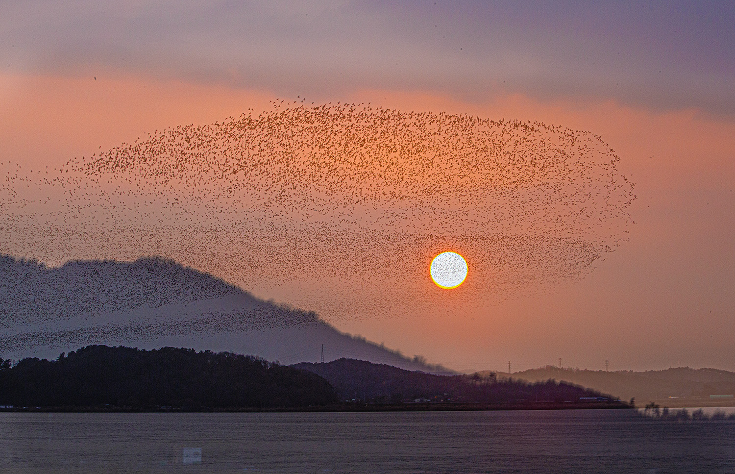 제목 없음-2.jpg-2.jpg