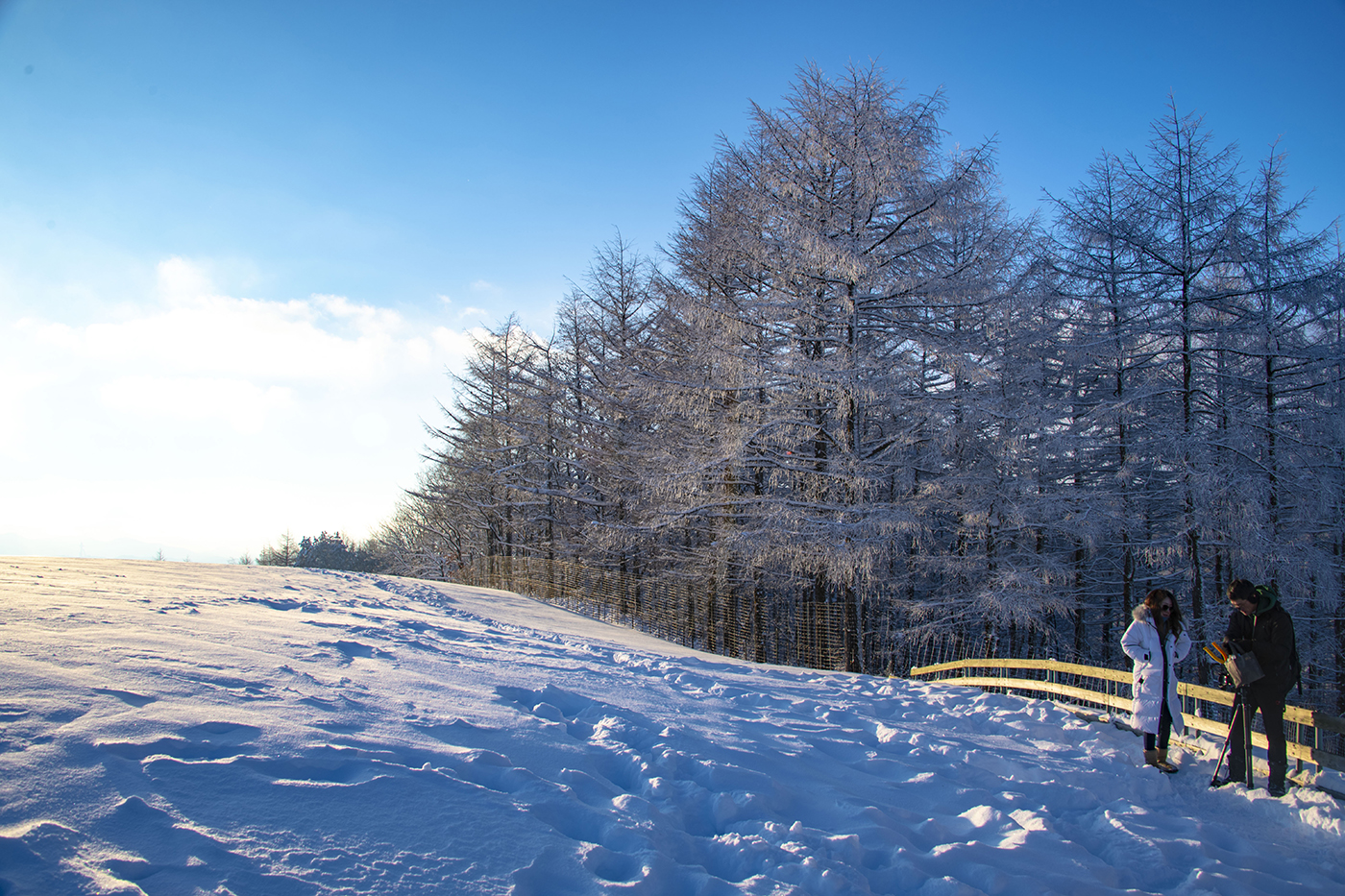 둘만의 시간.jpg