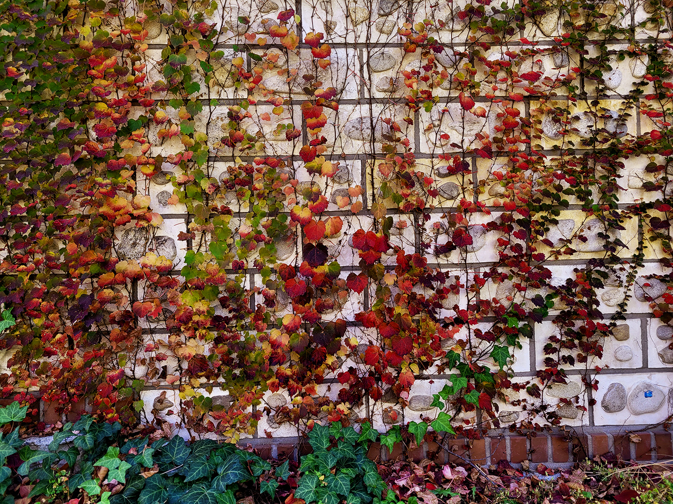 KakaoTalk_20221106_204043824_05 복사.jpg