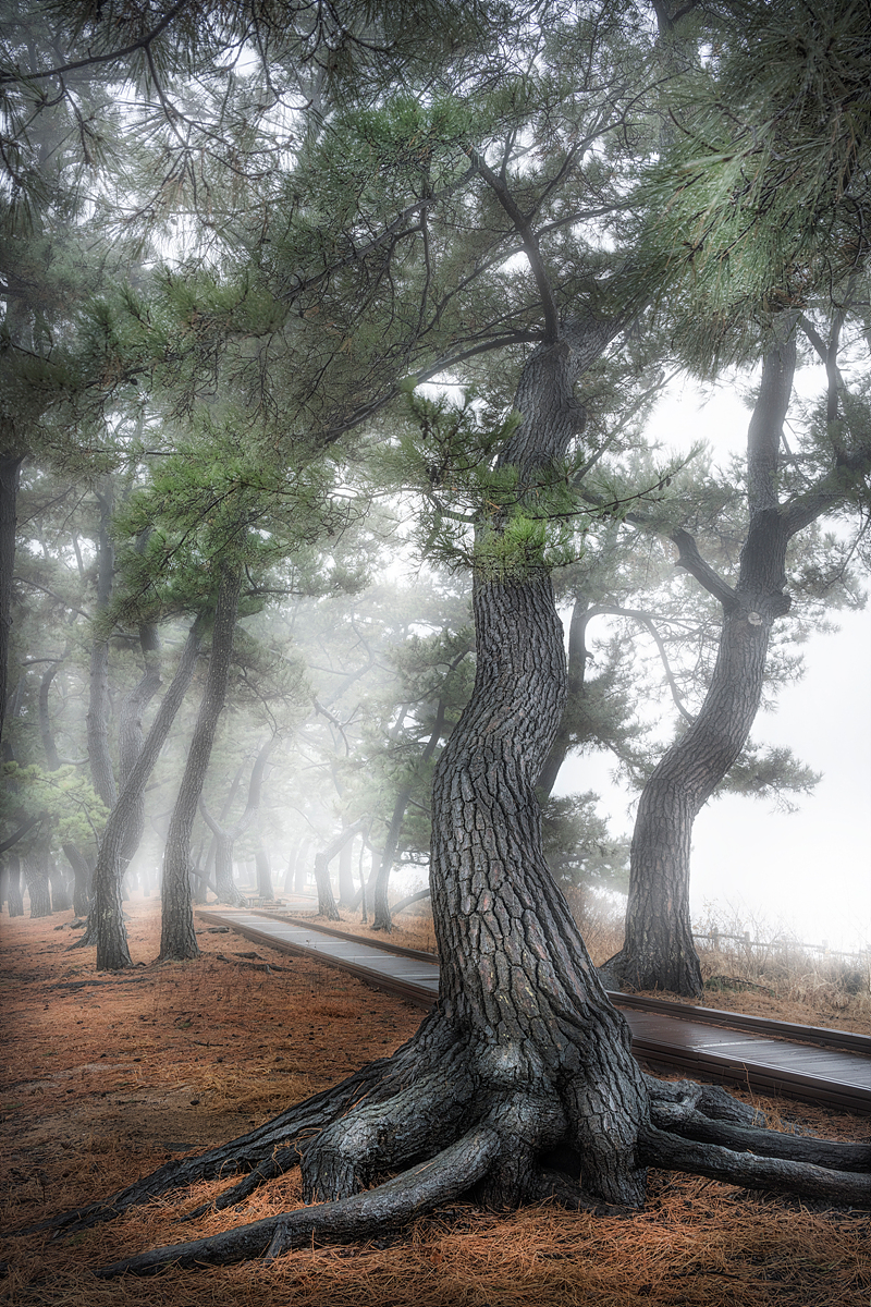 _JSA6585-HDR 복사.jpg