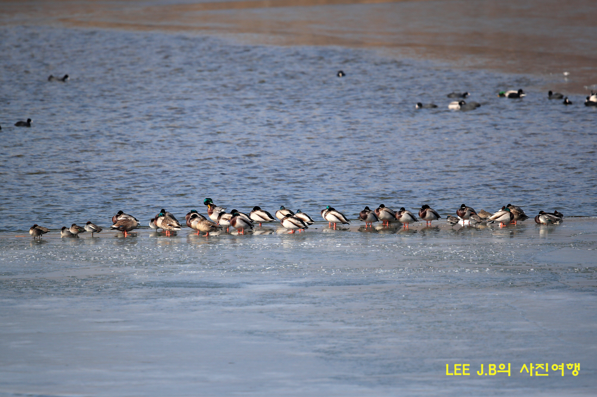 20230205-경산 (57).JPG