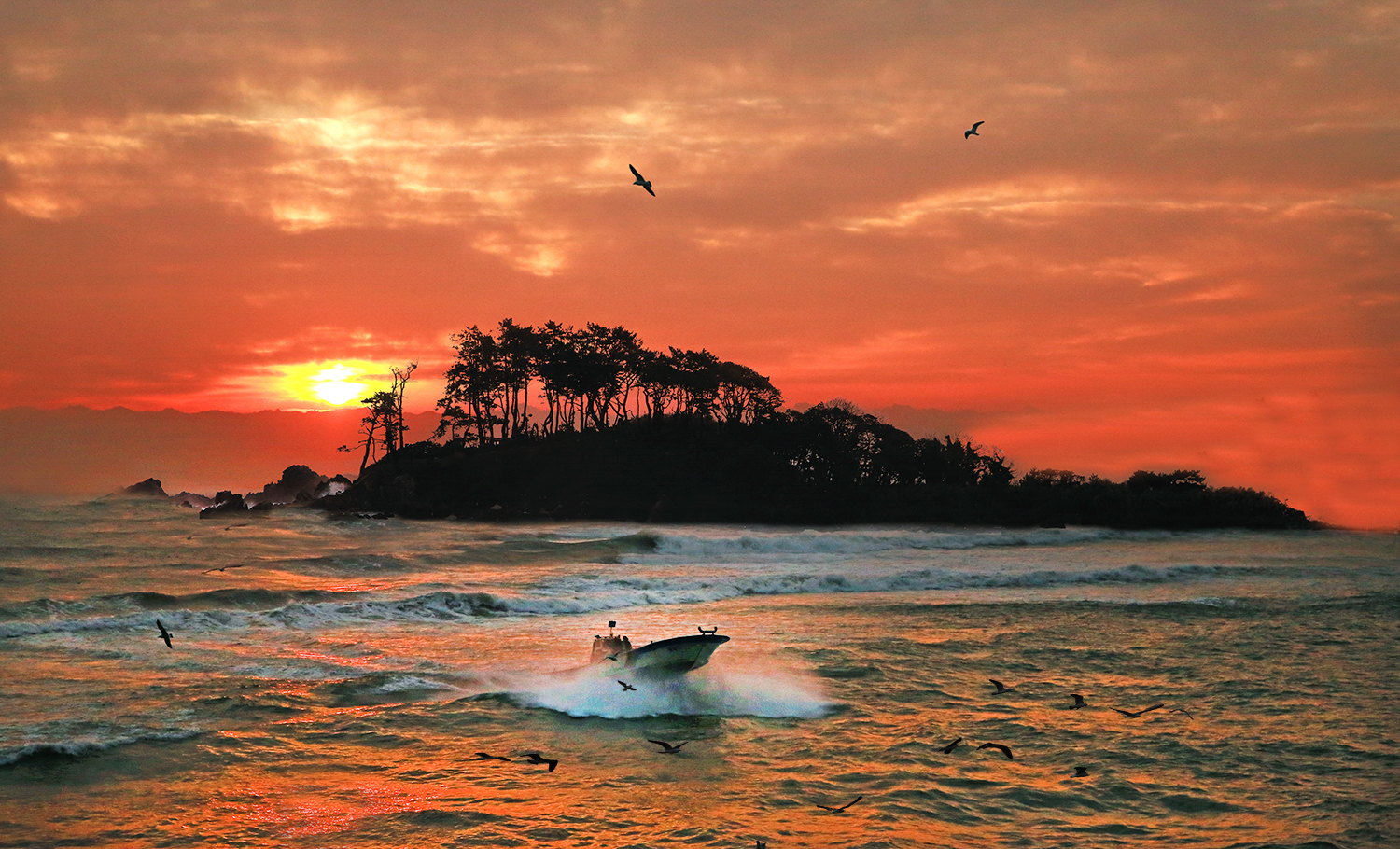 FG0A0520 - 복사본.JPG