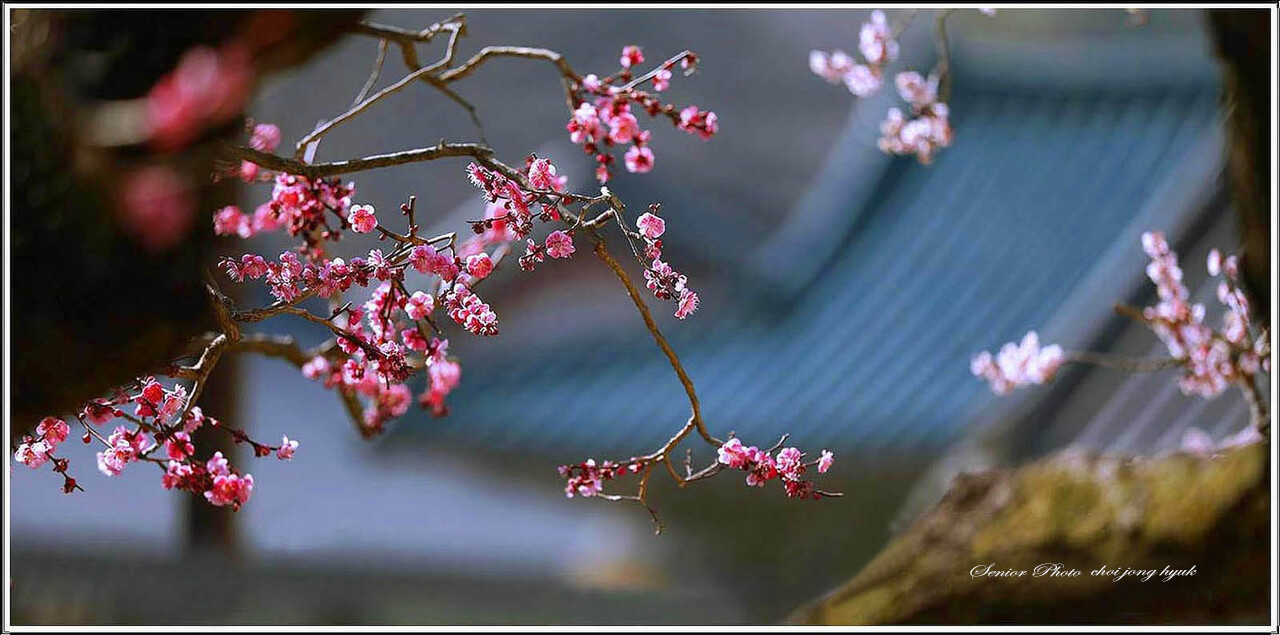 다운로드 (5)-5.jpg