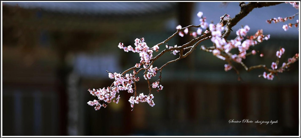 다운로드 (3)-6.jpg