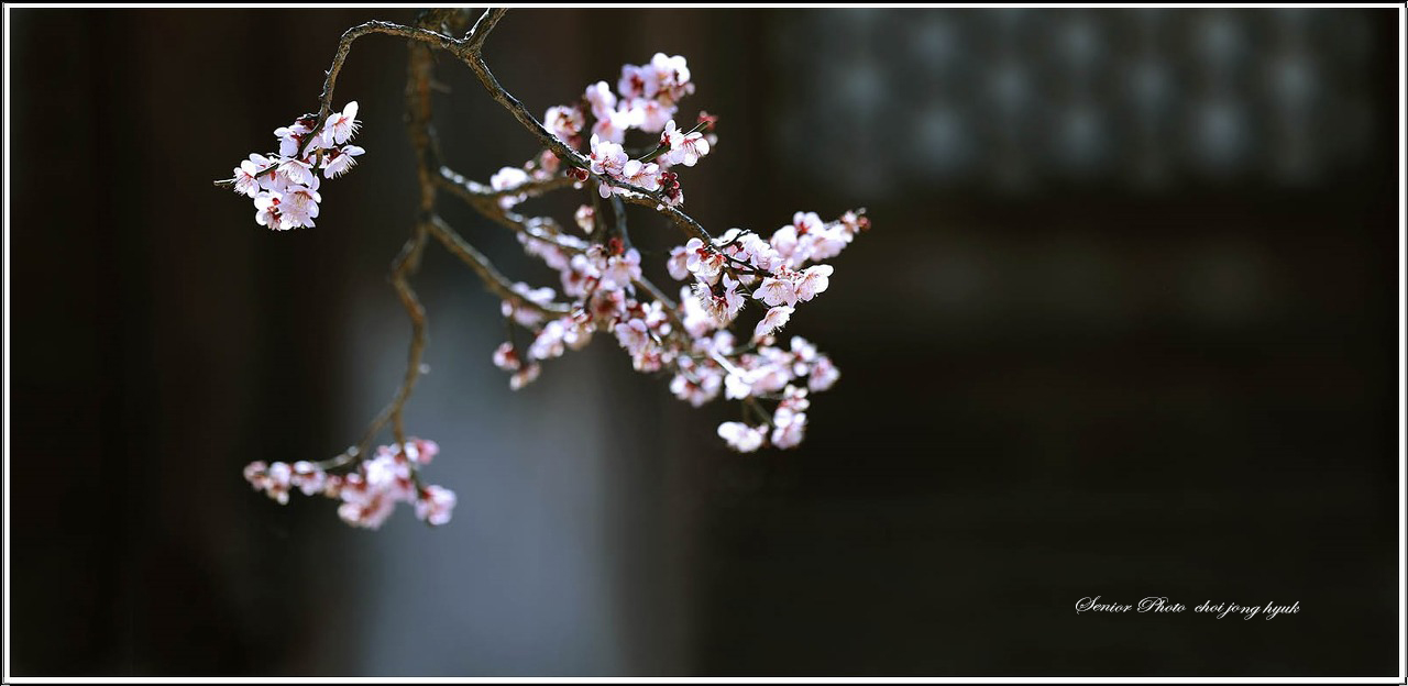 다운로드 (7)-7.jpg