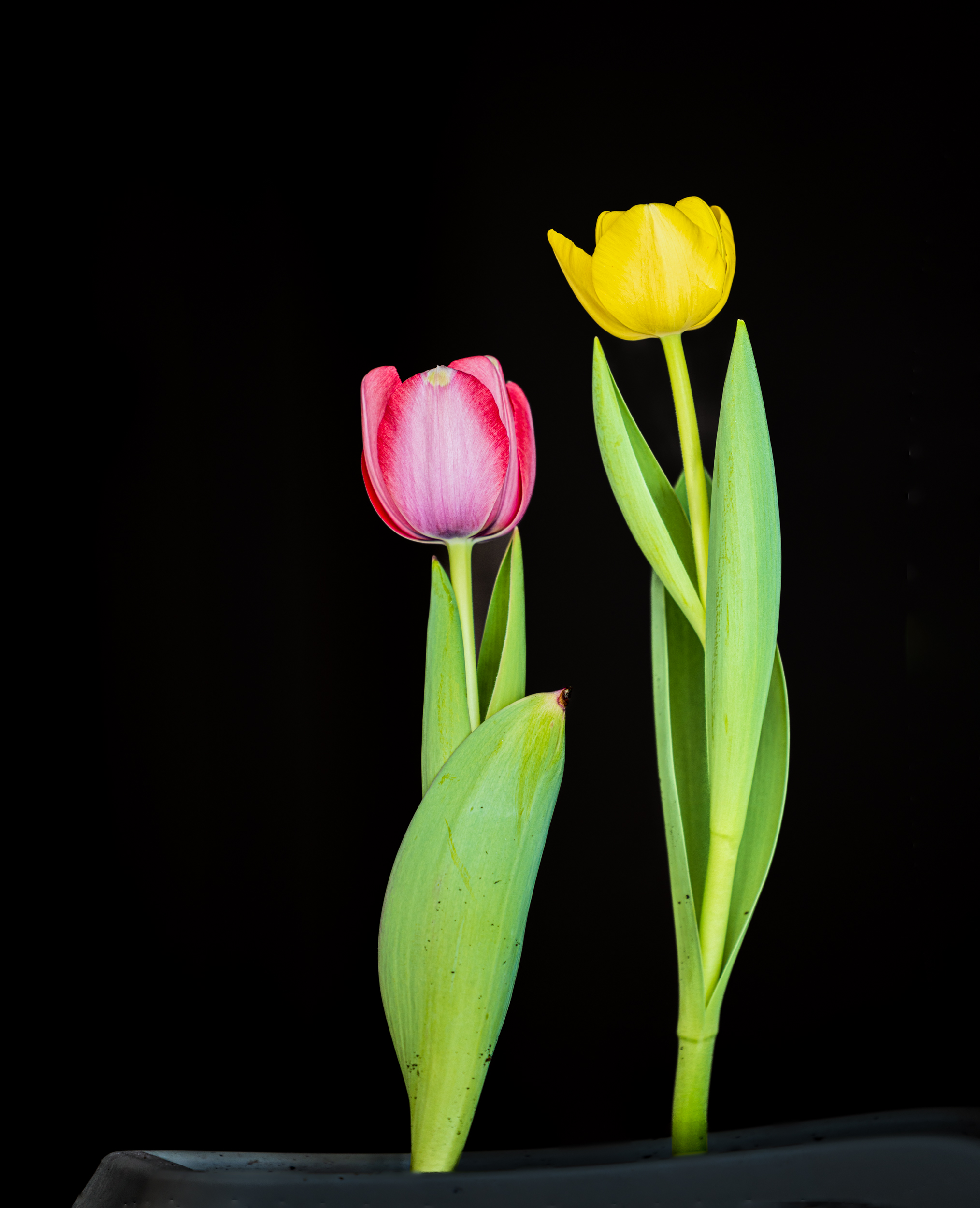 제목 없음-0596-편집.jpg