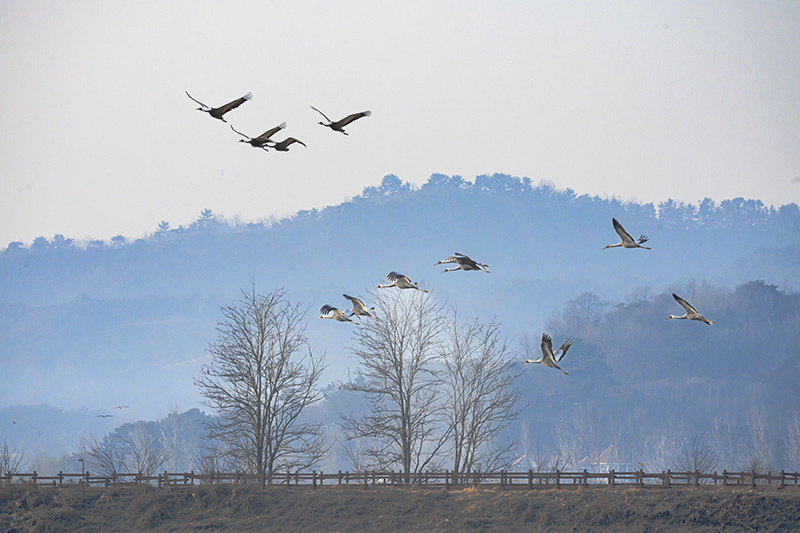 DSC_1242ㅡㅡ  클라.jpg