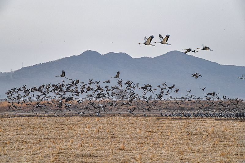 DSC_5270ㅡㅡㅡ  2ㅡ클라.jpg