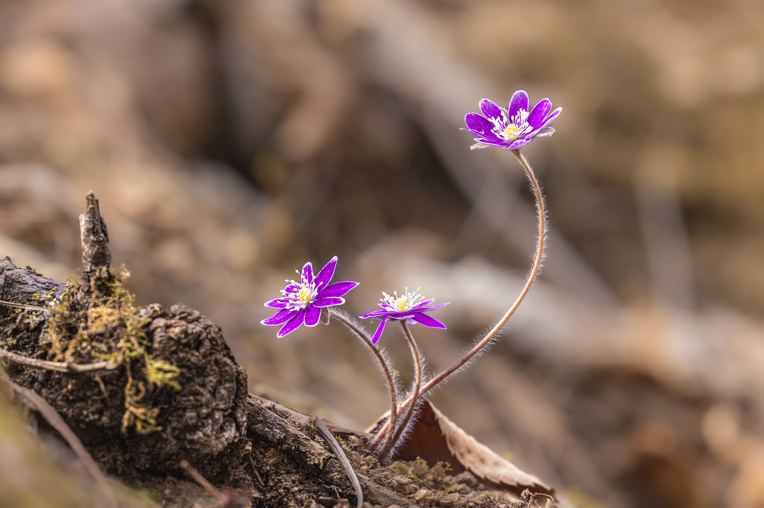 제목 없음-1903.jpg