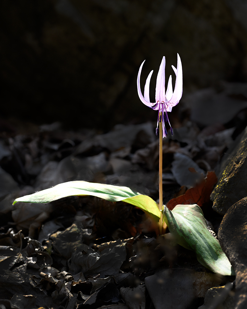 DSC_0073ㅡ 클라.jpg