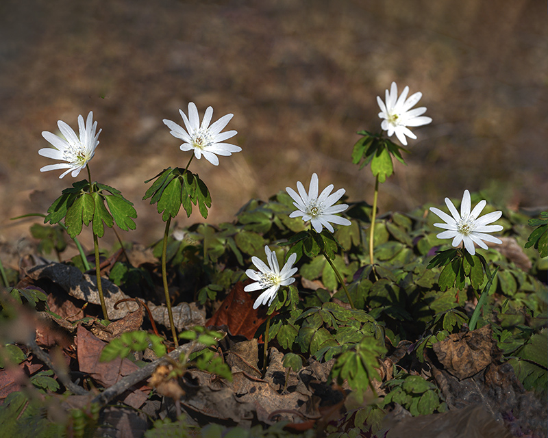 DSC_0018ㅡ 클리ㅡ 2.jpg