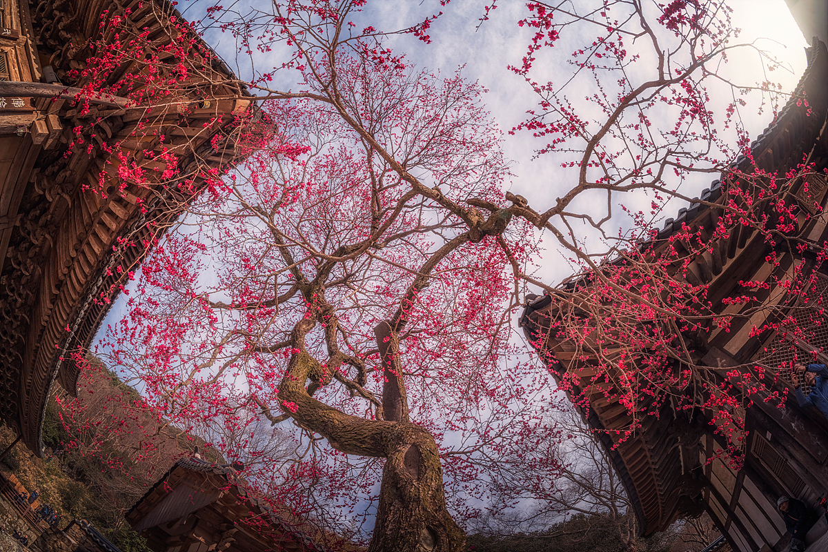 _JSA7614-HDR 복사.jpg