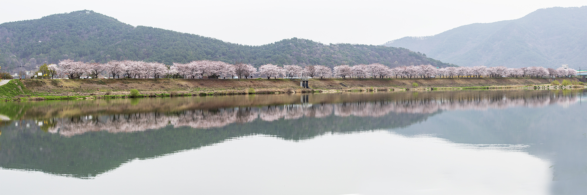 제목 없음_파노라마-1.jpg