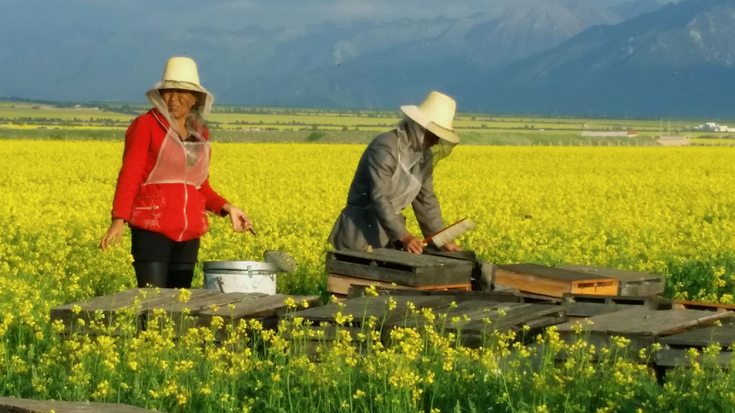 꿀따는 부부.jpg