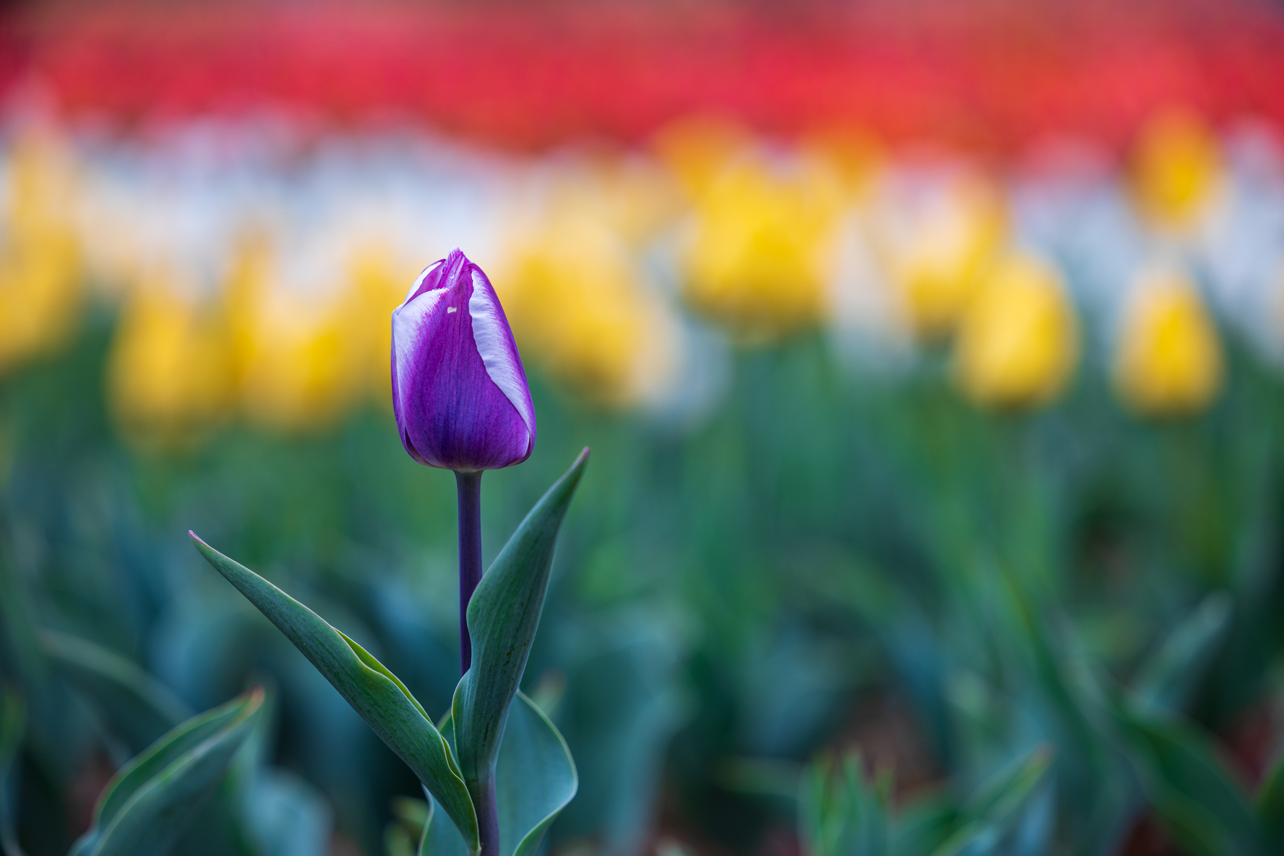 제목 없음-2332.jpg