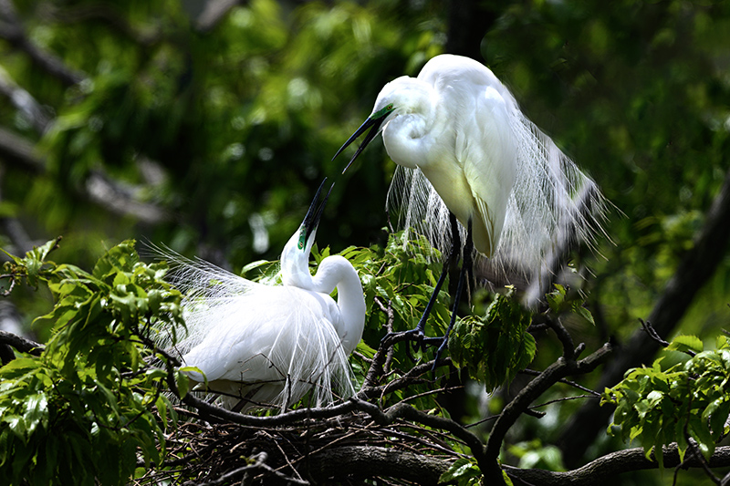 DSC_0940ㅡ 클라.jpg