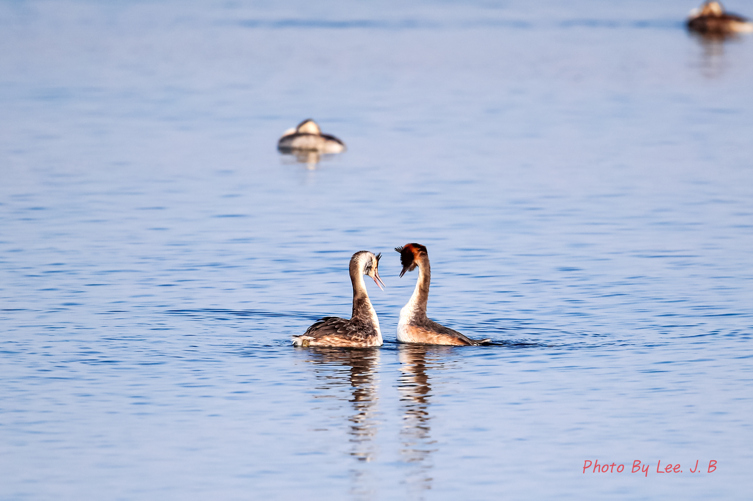 20230408-환호공원 (12).JPG