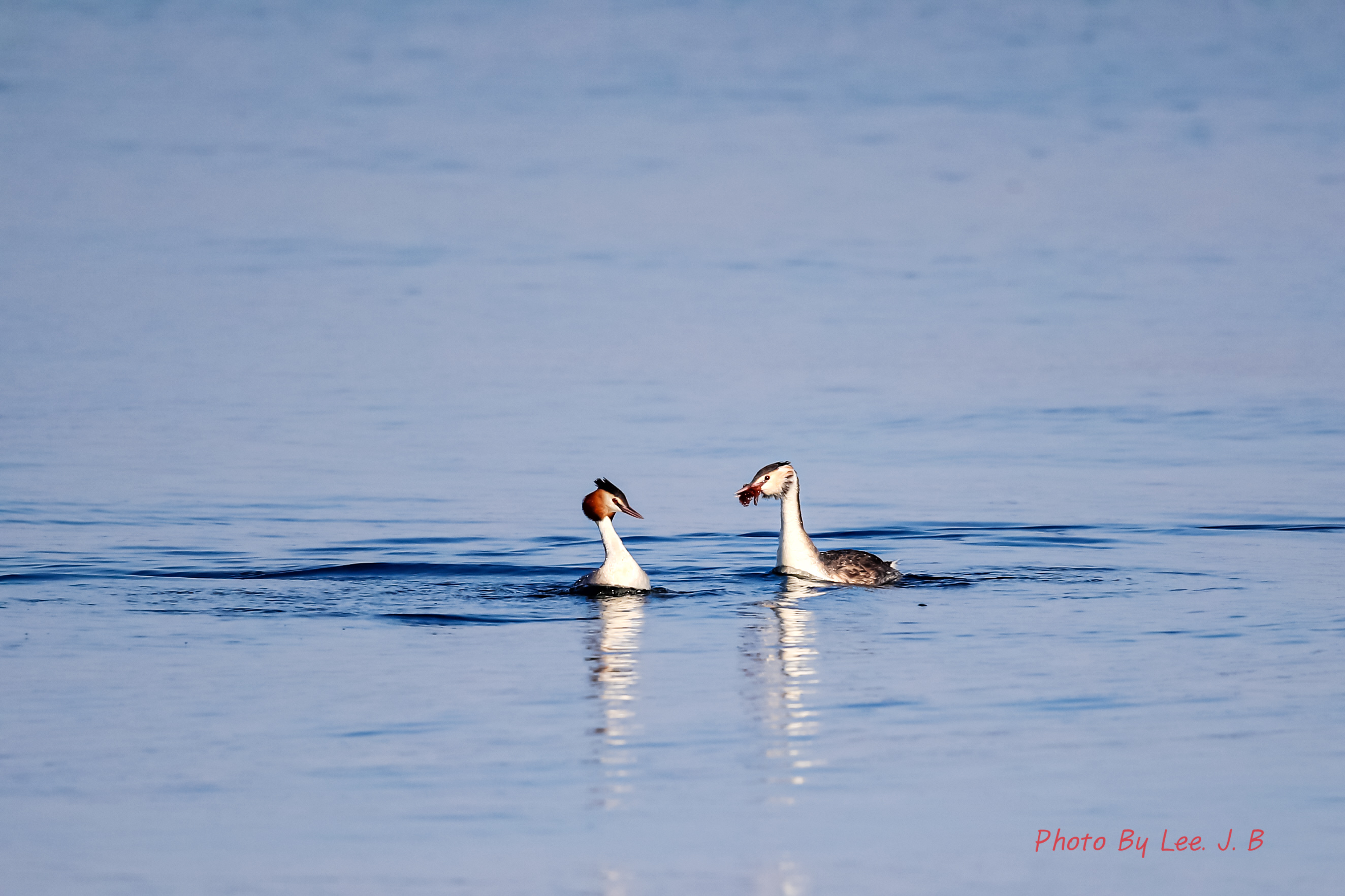 20230408-환호공원 (26).JPG