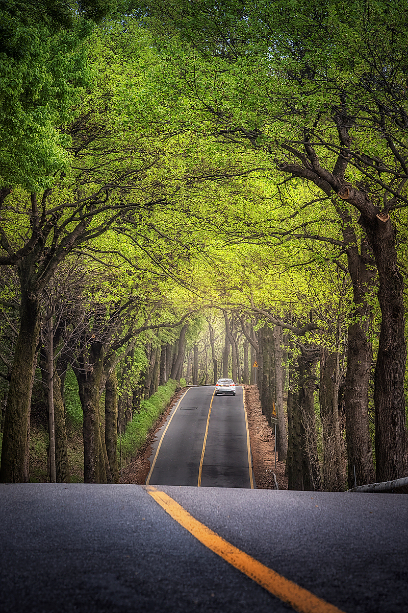 _JSA3435-HDR 복사.jpg