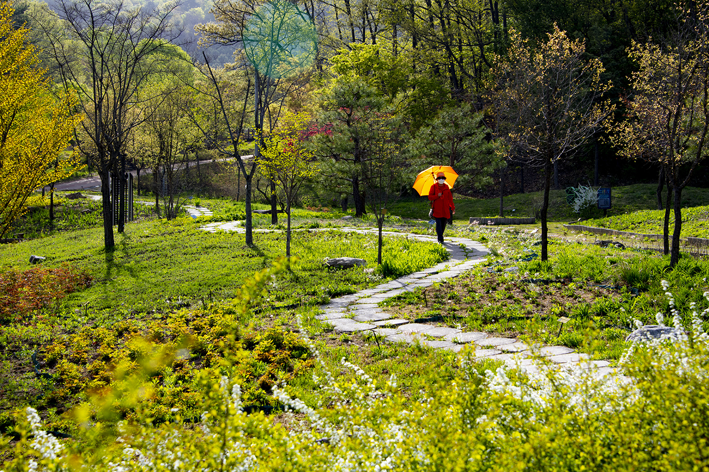 봄길따라 걷다.jpg