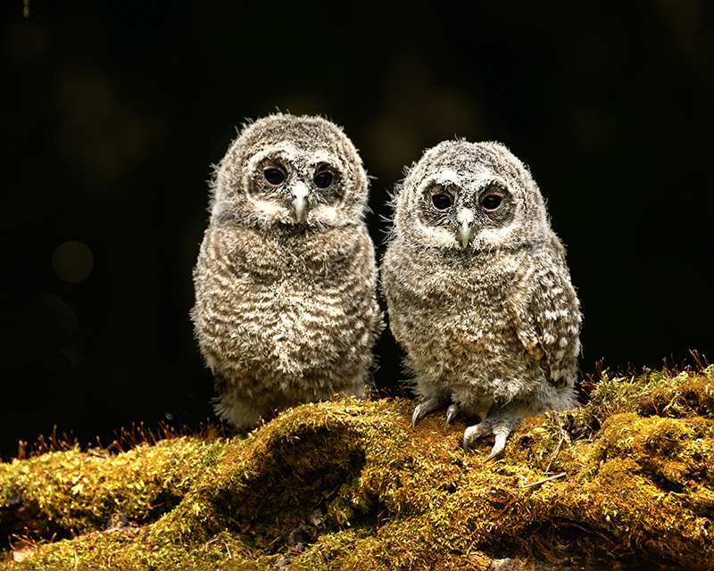 DSC_0370ㅡ 클라.jpg