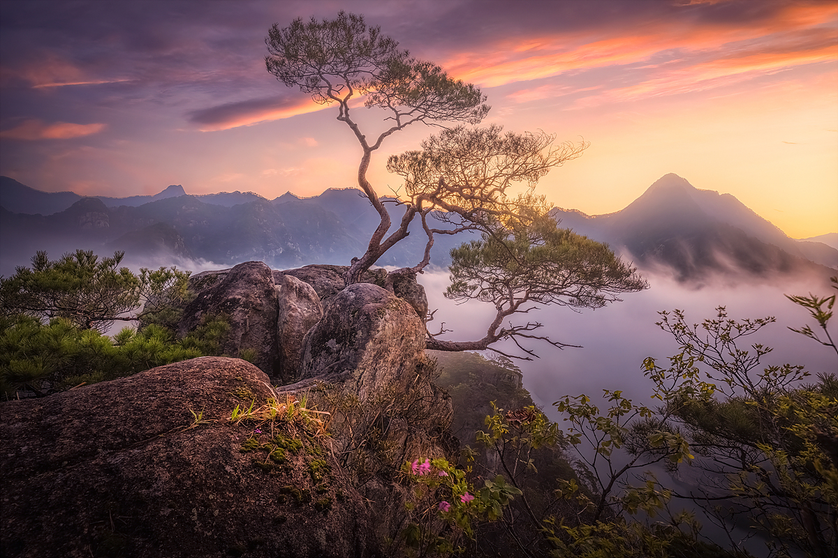 _JSA1935-HDR 복사.jpg