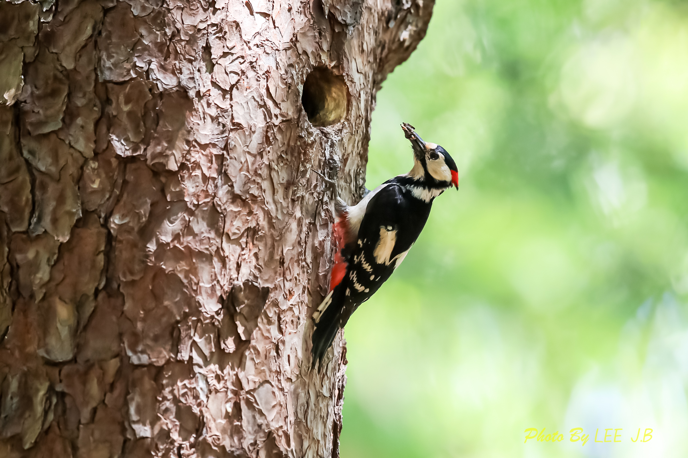 20230430-황성공원 (84).JPG