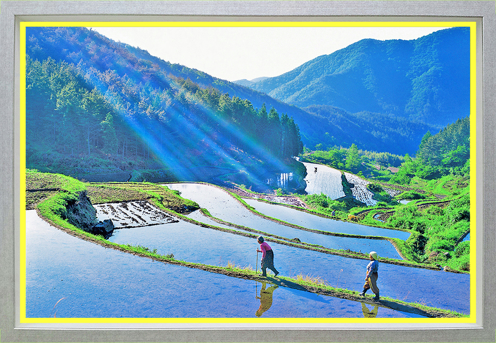 한강 복사 복사 복사.jpg