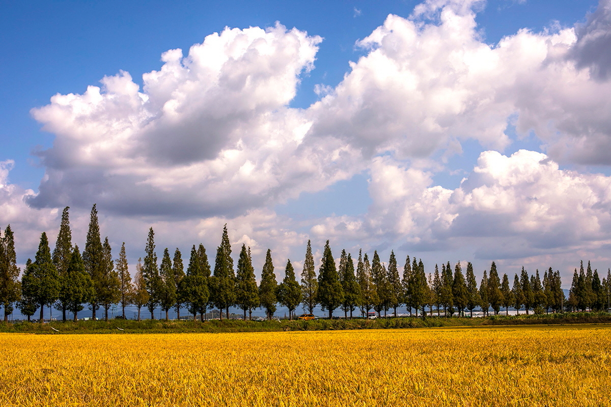 0602_구름좋은 날.JPG