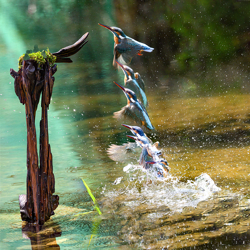 제목 없음-1ㅡ  클라.jpg