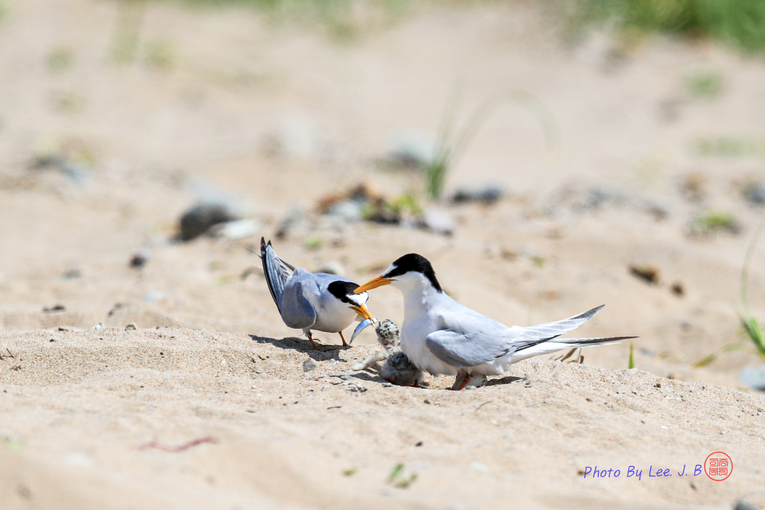 20230604-포항 (82).JPG