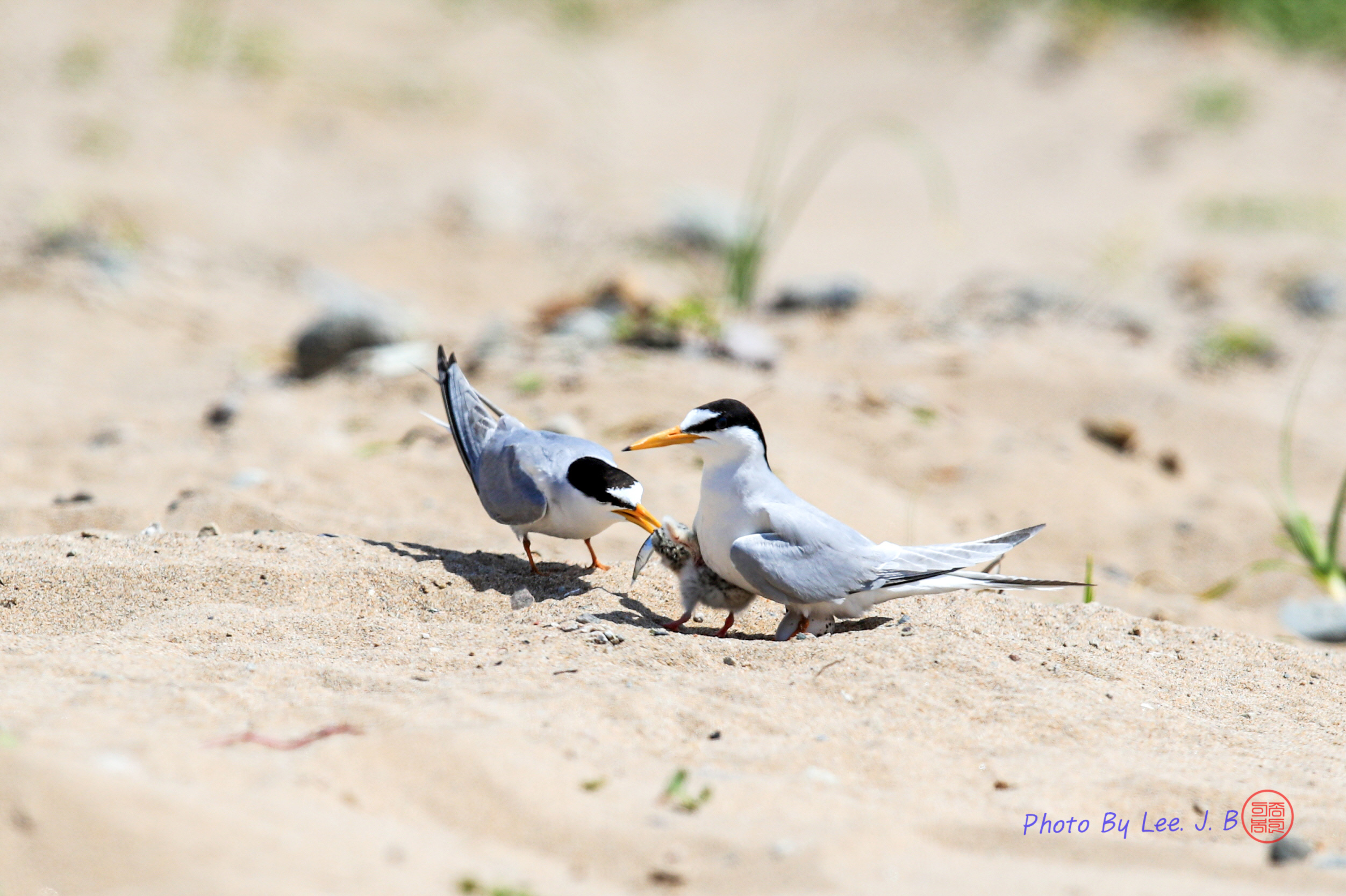 20230604-포항 (86).JPG