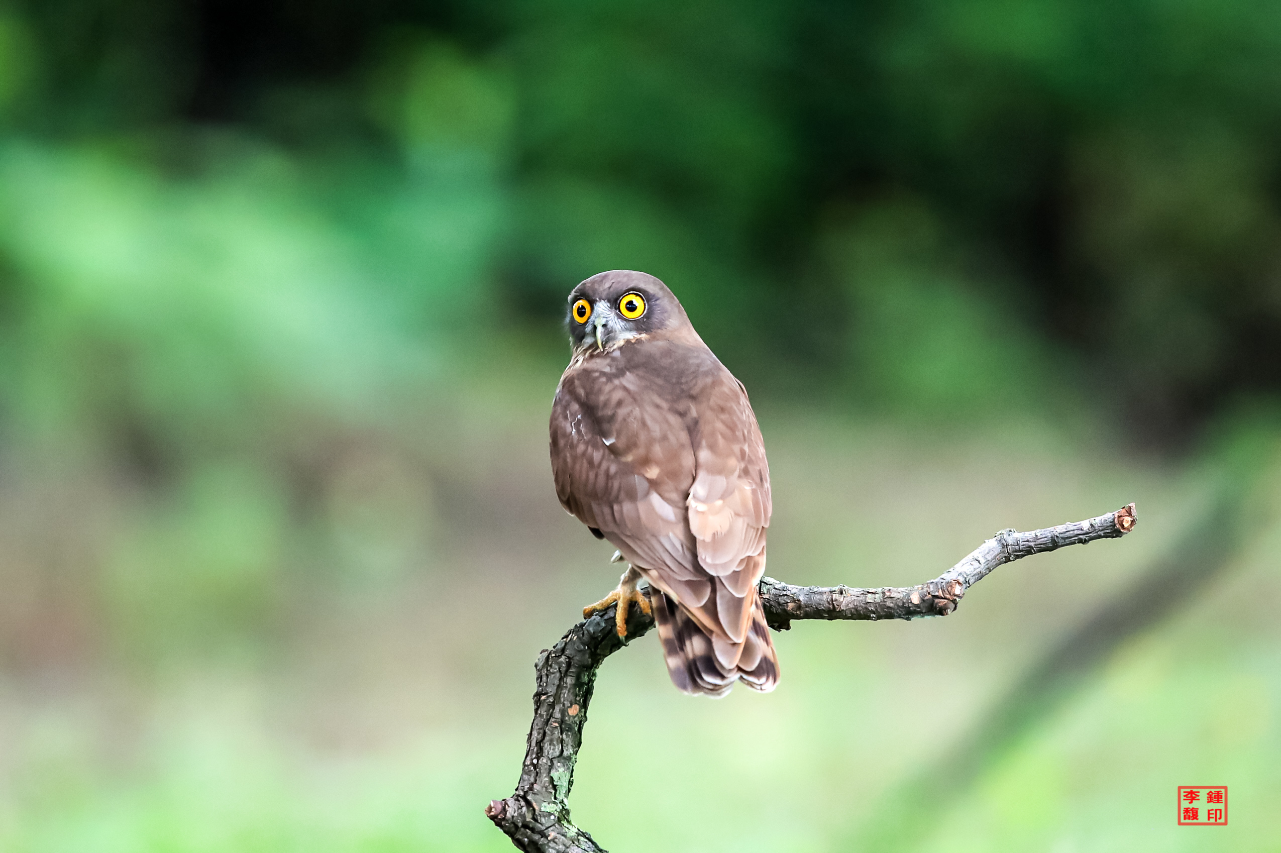 20230701-사천교 (40).JPG