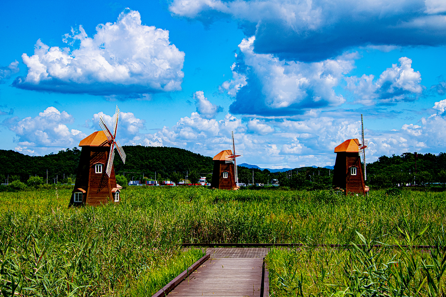 소래풍차 (2).JPG