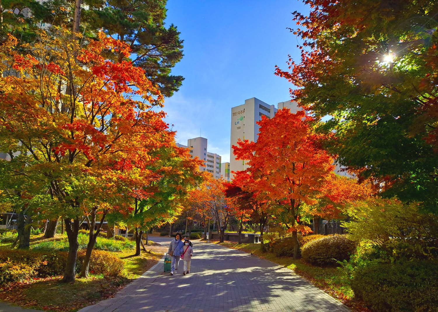 아파트의 가을.jpg