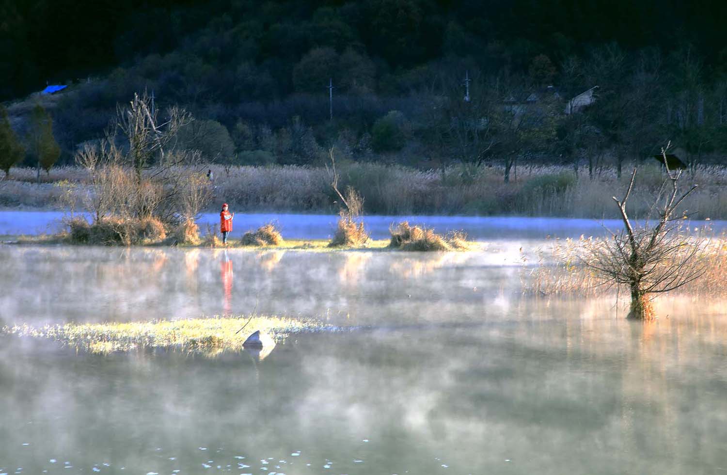 주천 생태공원530.JPG