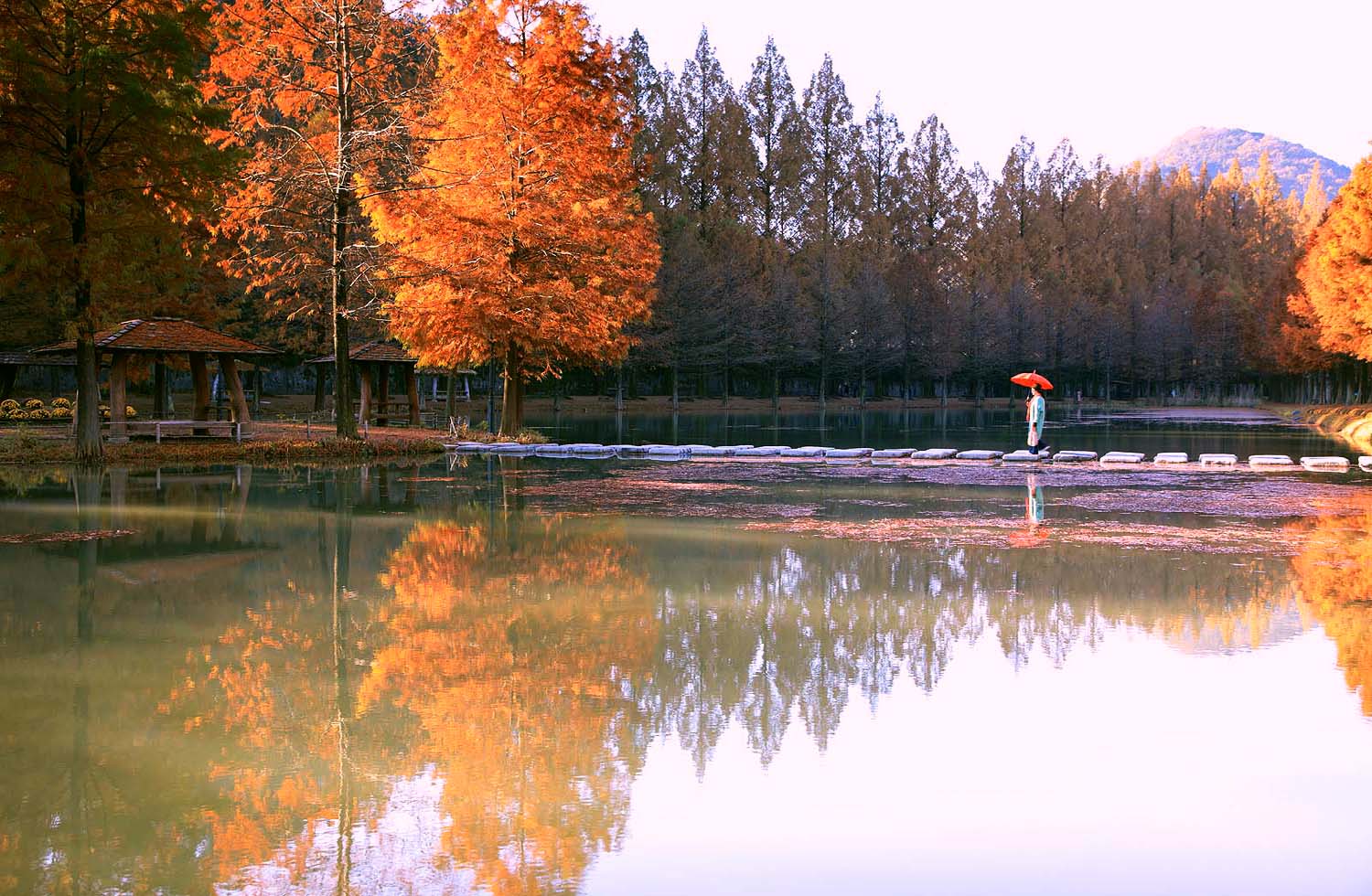 담양 메타길216.JPG
