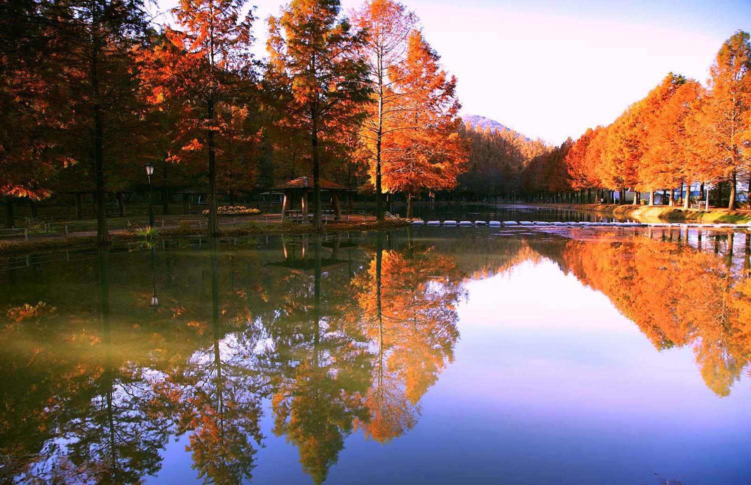 담양 메타길241.JPG