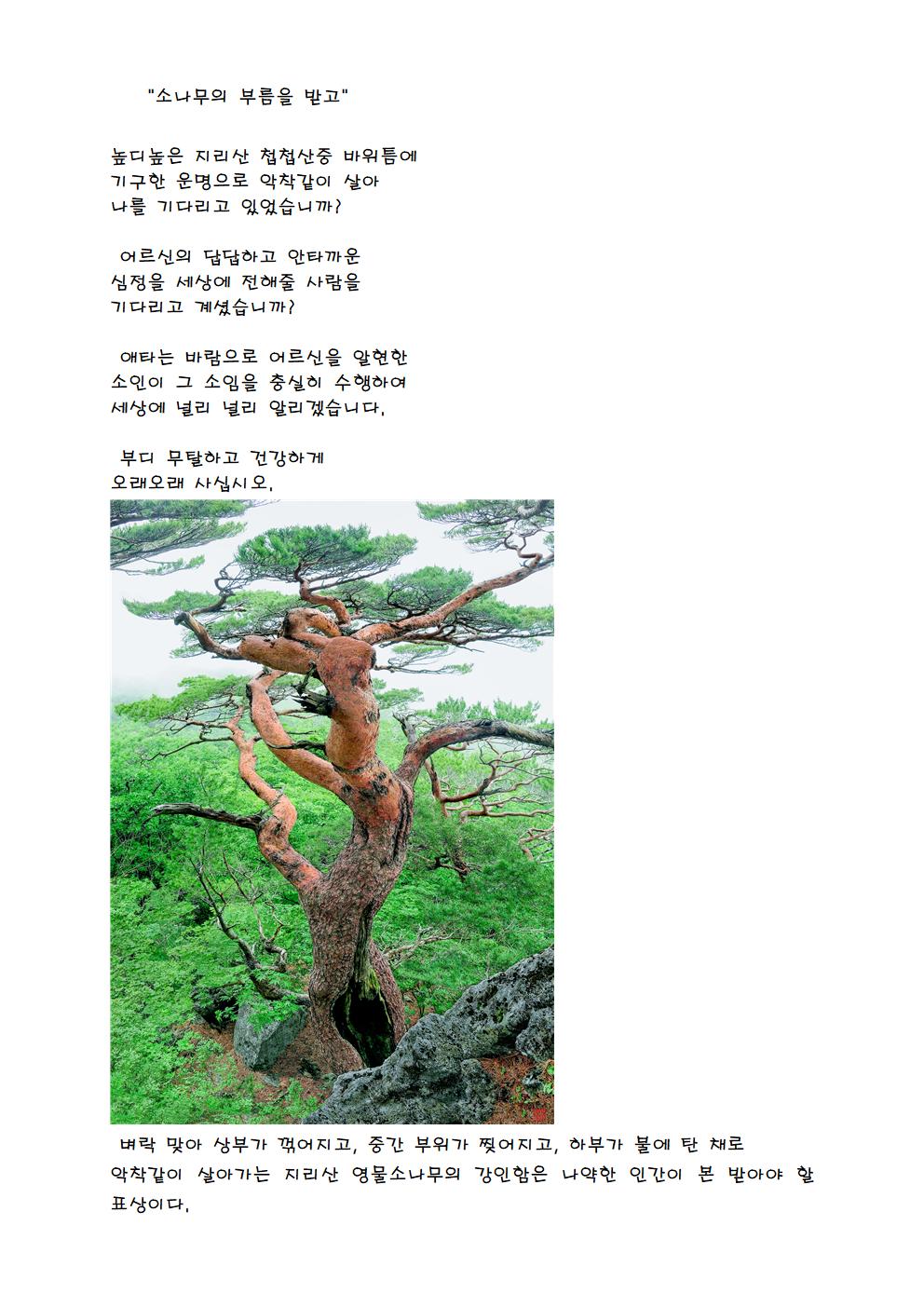 소나무의 부름을 받고.jpg