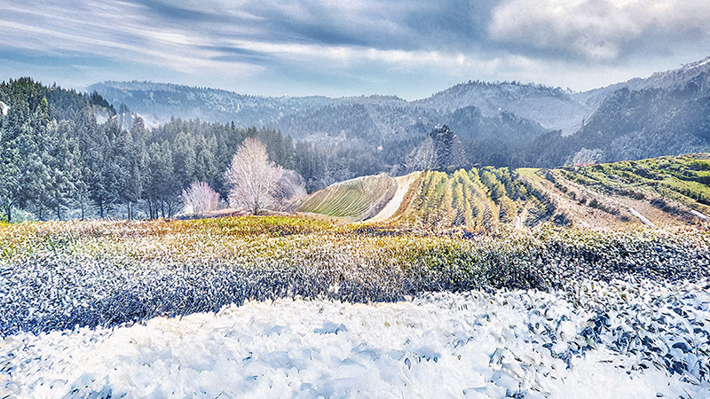 20221210_133727-설경 800.jpg