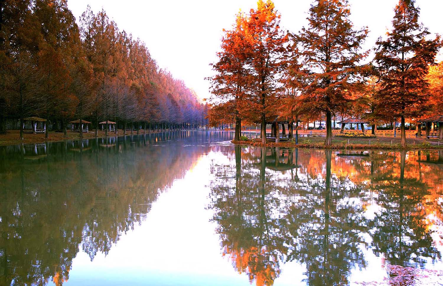 담양 메타길170.JPG