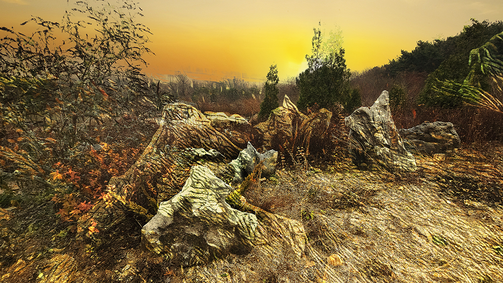 20231209_130415 900.jpg