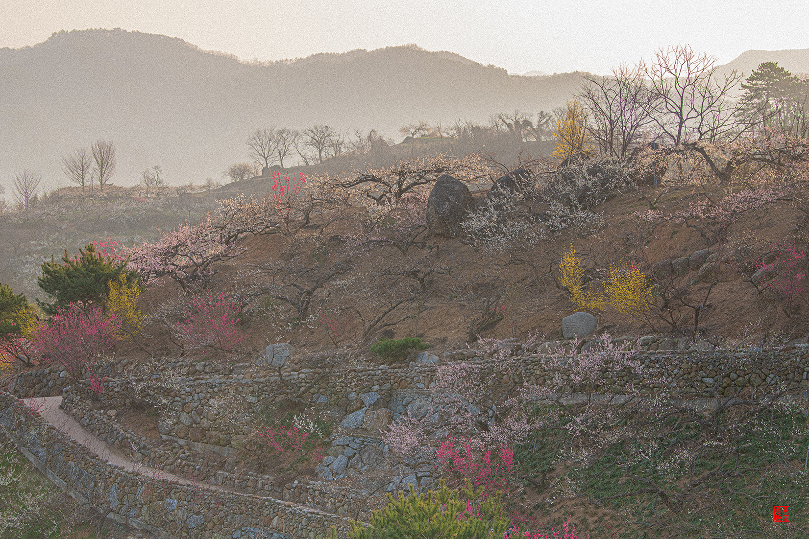 한국의 봄 복사본.jpg