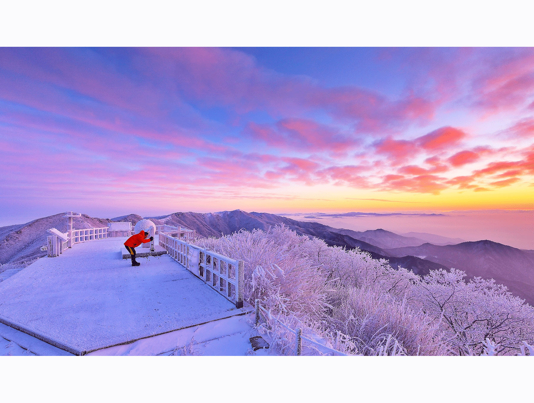 사본 -CHOI1737-1.jpg