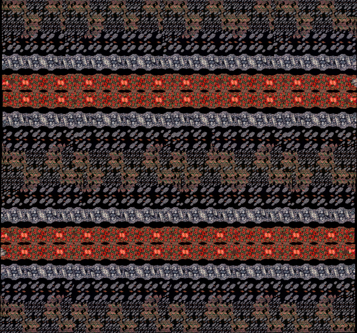 2023.0409 돌담 튜울립1-20-5-16-12월29일.JPG