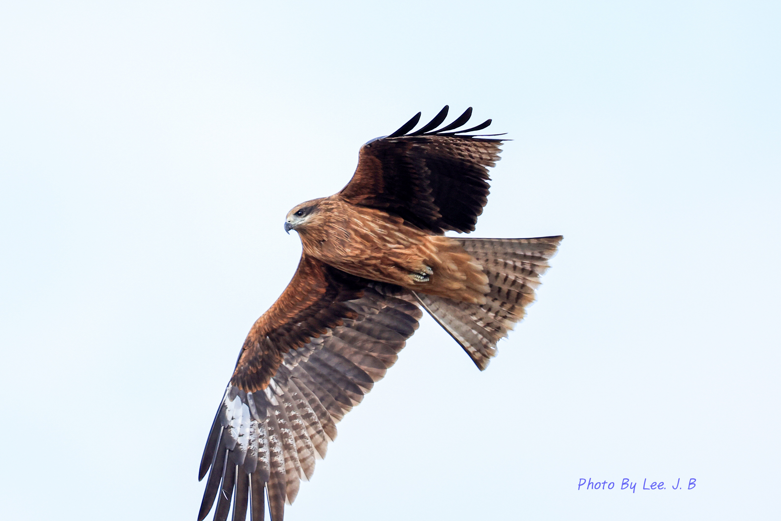 20231224-둔치 (50).JPG