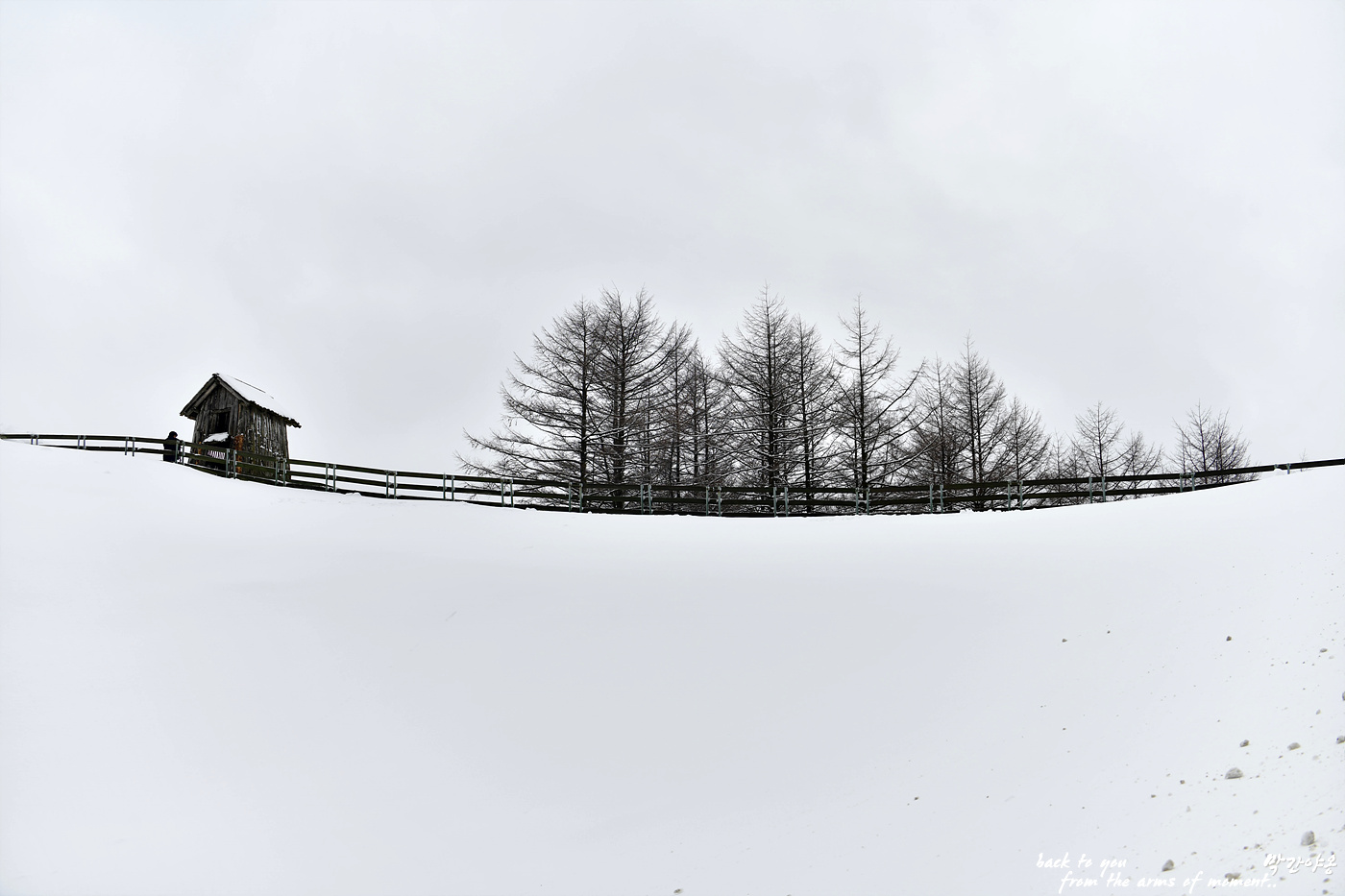 20240101 대관령양떼목장_0290_view-pw.jpg