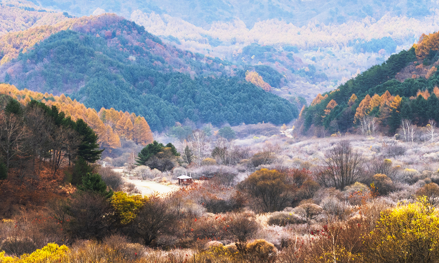 비밀의정원(40-24)-2.jpg