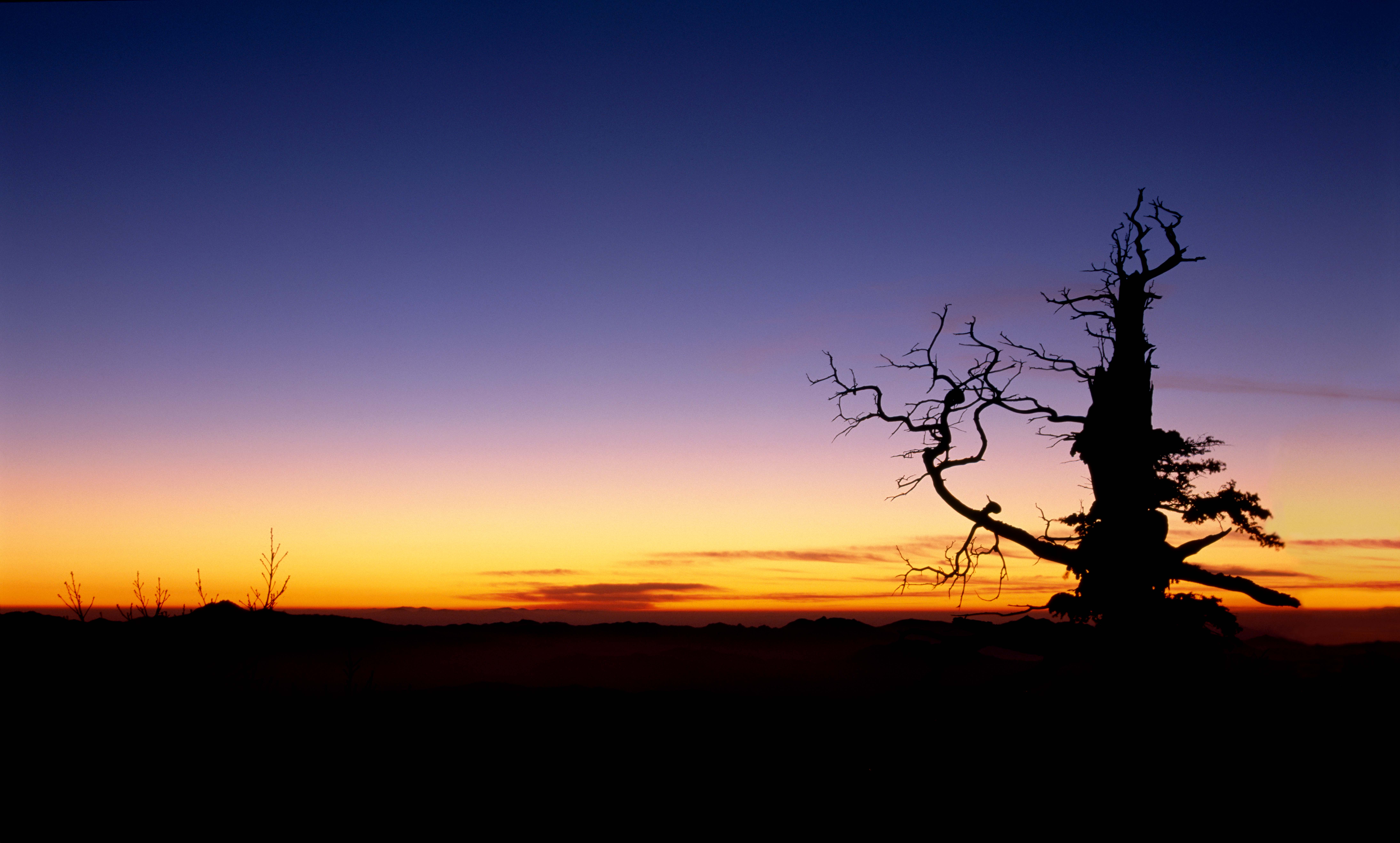 2004.1.3 덕유 여명.jpg